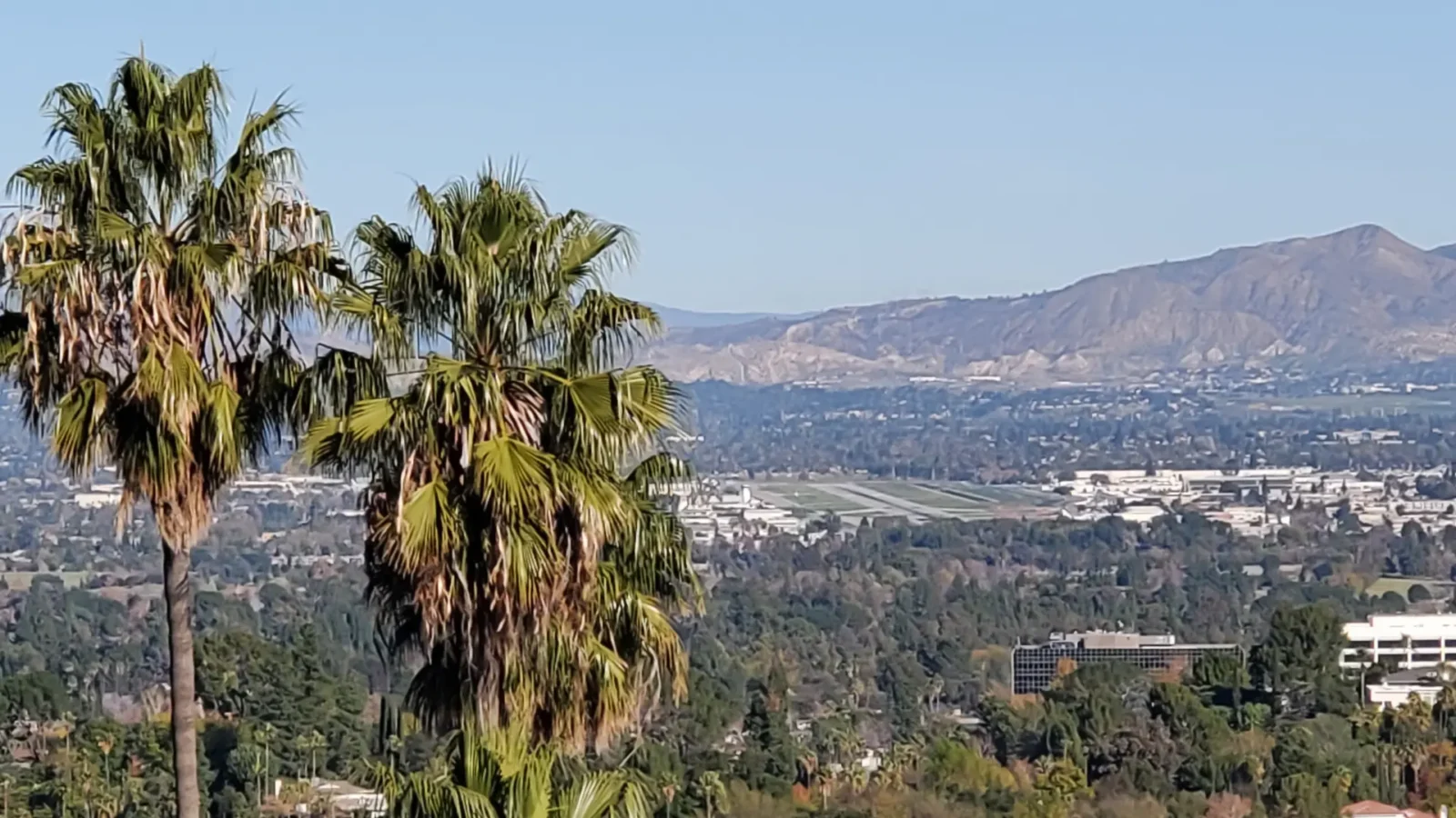 Employment attorney services in Santa Clarita.